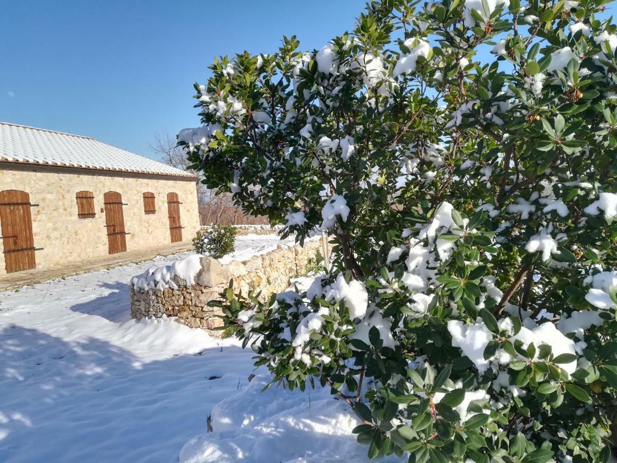 Tenuta Tedone Consolini Villa Ruvo di Puglia Exterior photo